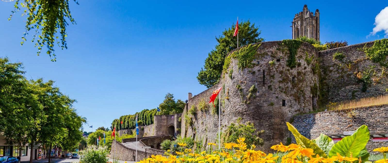 Bienvenue chez Patrimonéo – Votre expert en gestion de patrimoine à Saint-Lô